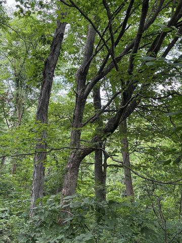 86 Ac County Road S, Gays Mills, WI 54631