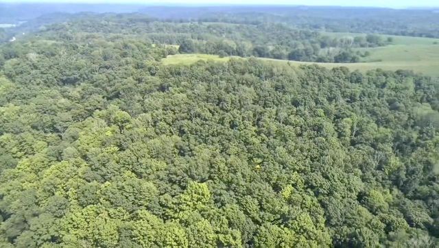 86 Ac County Road S, Gays Mills, WI 54631