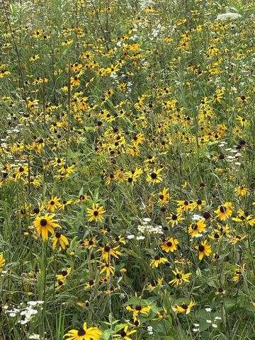 86 Ac County Road S, Gays Mills, WI 54631