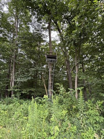 86 Ac County Road S, Gays Mills, WI 54631