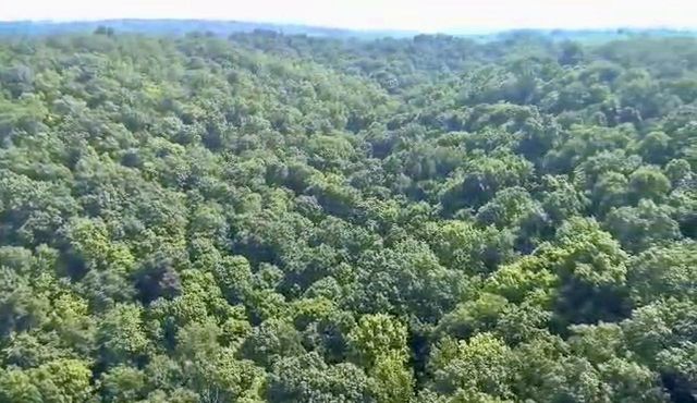 86 Ac County Road S, Gays Mills, WI 54631