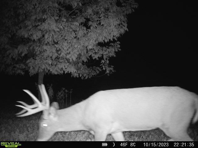 86 Ac County Road S, Gays Mills, WI 54631