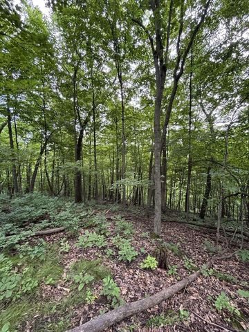 86 Ac County Road S, Gays Mills, WI 54631