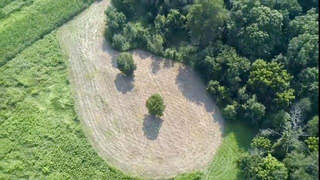 86 Ac County Road S, Gays Mills, WI 54631