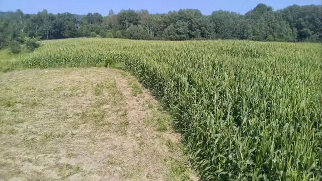 86 Ac County Road S, Gays Mills, WI 54631