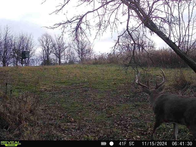 86 Ac County Road S, Gays Mills, WI 54631