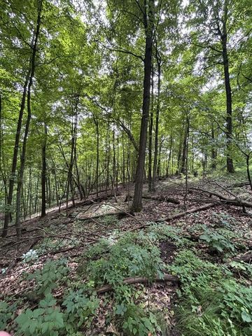 86 Ac County Road S, Gays Mills, WI 54631