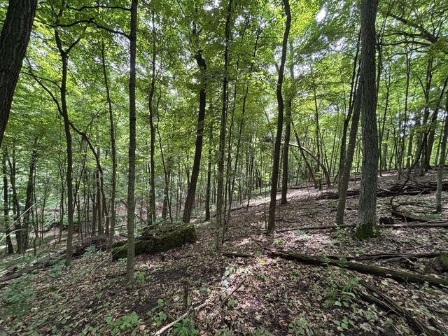 86 Ac County Road S, Gays Mills, WI 54631