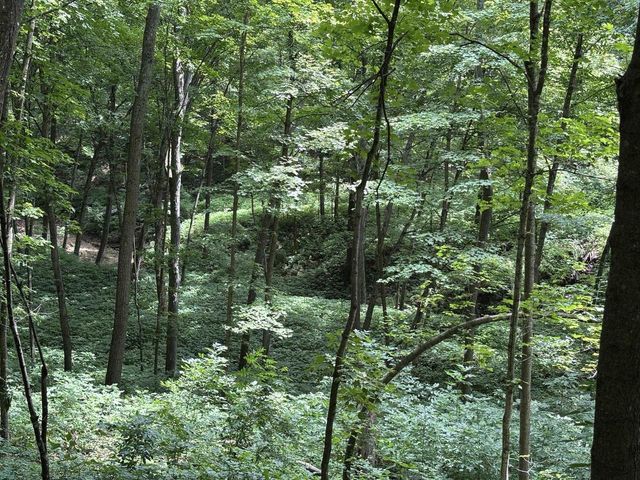 86 Ac County Road S, Gays Mills, WI 54631