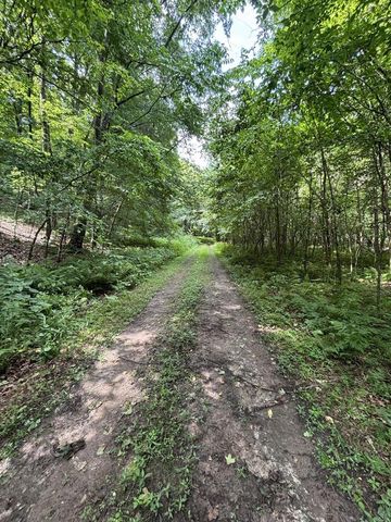 86 Ac County Road S, Gays Mills, WI 54631