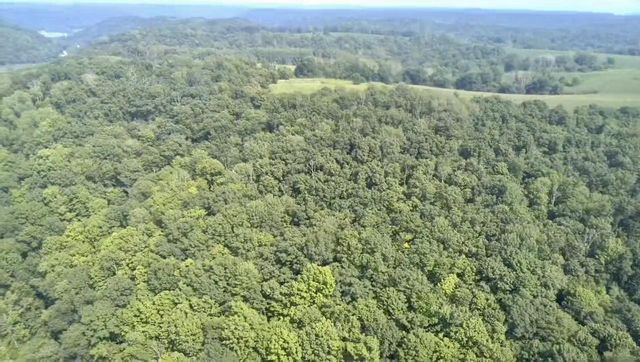 86 Ac County Road S, Gays Mills, WI 54631