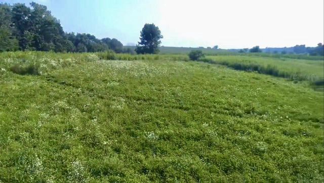 86 Ac County Road S, Gays Mills, WI 54631