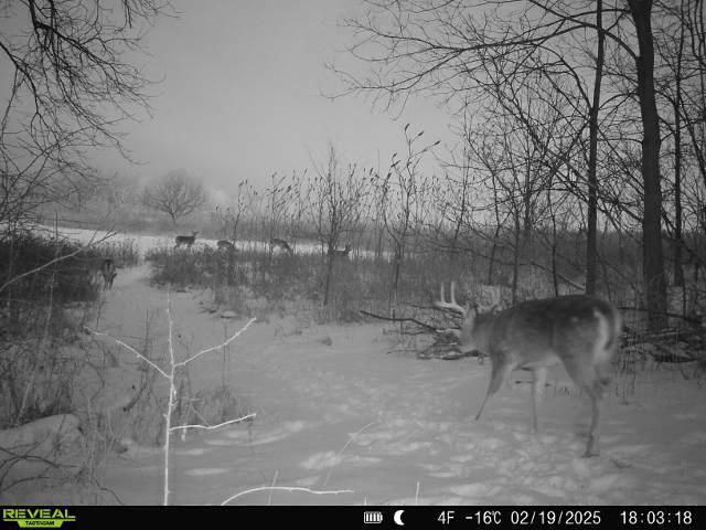 86 Ac County Road S, Gays Mills, WI 54631