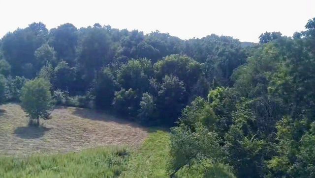 86 Ac County Road S, Gays Mills, WI 54631