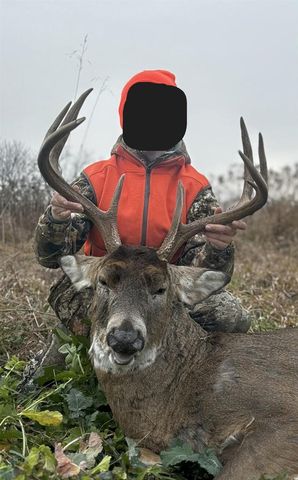 86 Ac County Road S, Gays Mills, WI 54631