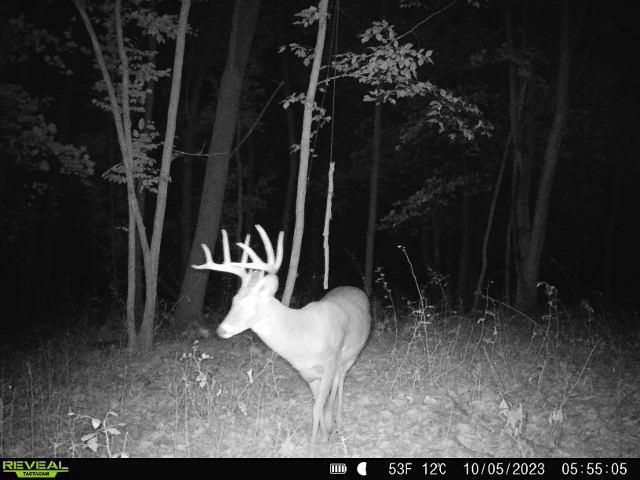 86 Ac County Road S, Gays Mills, WI 54631