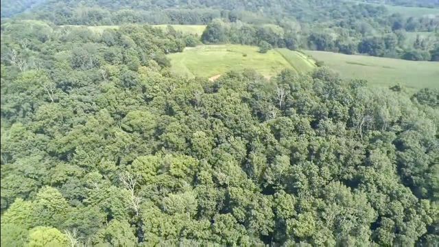 86 Ac County Road S, Gays Mills, WI 54631