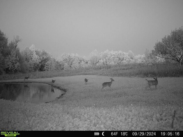 86 Ac County Road S, Gays Mills, WI 54631