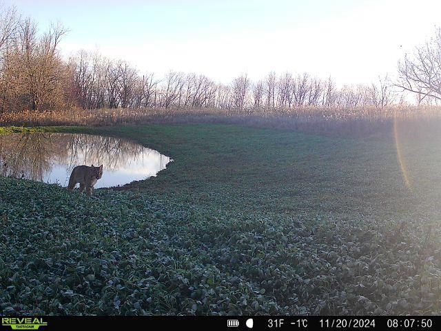 86 Ac County Road S, Gays Mills, WI 54631