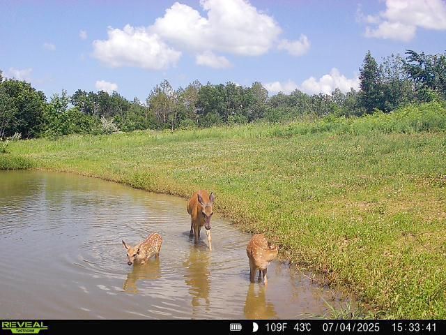 86 Ac County Road S, Gays Mills, WI 54631