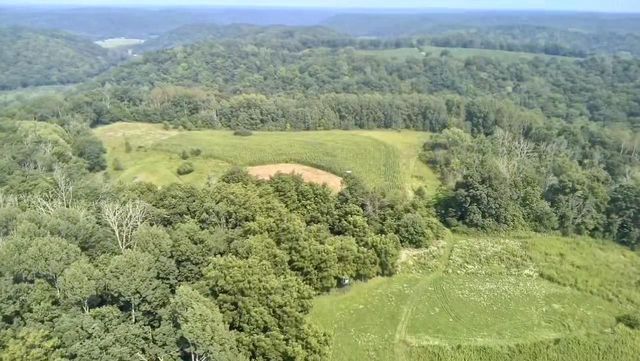 86 Ac County Road S, Gays Mills, WI 54631