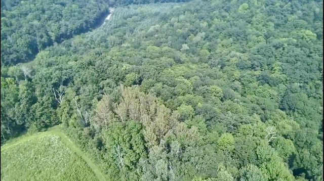 86 Ac County Road S, Gays Mills, WI 54631