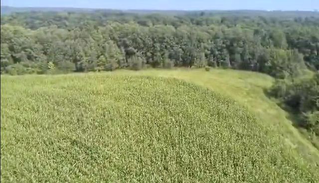 86 Ac County Road S, Gays Mills, WI 54631