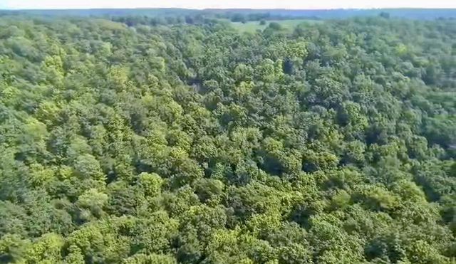 86 Ac County Road S, Gays Mills, WI 54631