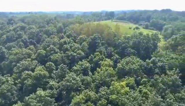 86 Ac County Road S, Gays Mills, WI 54631