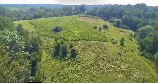 86 Ac County Road S, Gays Mills, WI 54631