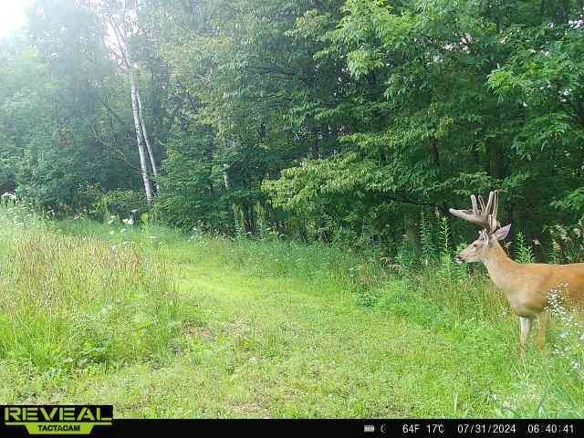 86 Ac County Road S, Gays Mills, WI 54631