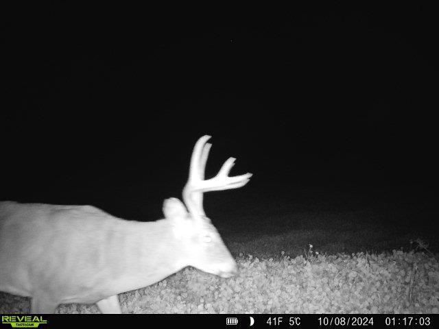 86 Ac County Road S, Gays Mills, WI 54631