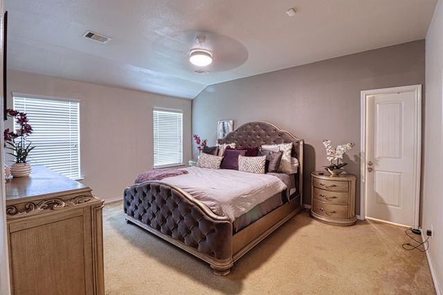 2735 Diamond Vista Lane, Rosharon, TX 77583