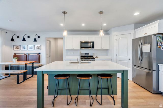 917 N OLSON DR, Saratoga Springs, UT 84045