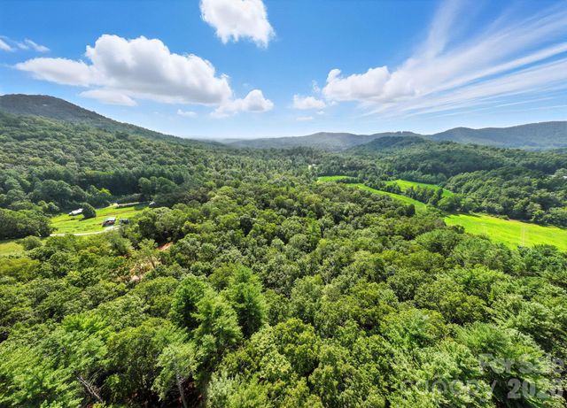 0000 Mullinax Cove Road, Mills River, NC 28759