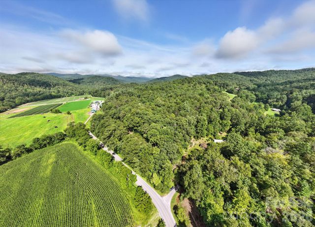 0000 Mullinax Cove Road, Mills River, NC 28759