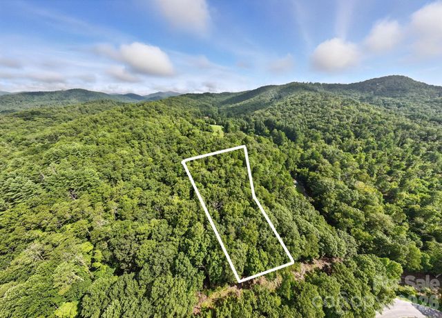 0000 Mullinax Cove Road, Mills River, NC 28759