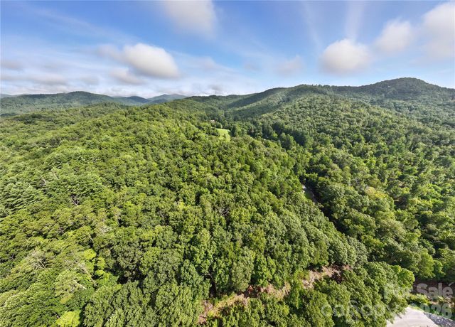 0000 Mullinax Cove Road, Mills River, NC 28759