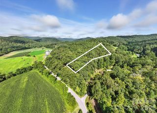 0000 Mullinax Cove Road, Mills River, NC 28759