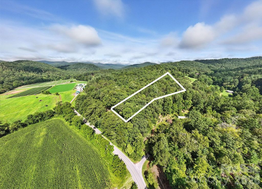 0000 Mullinax Cove Road, Mills River, NC 28759