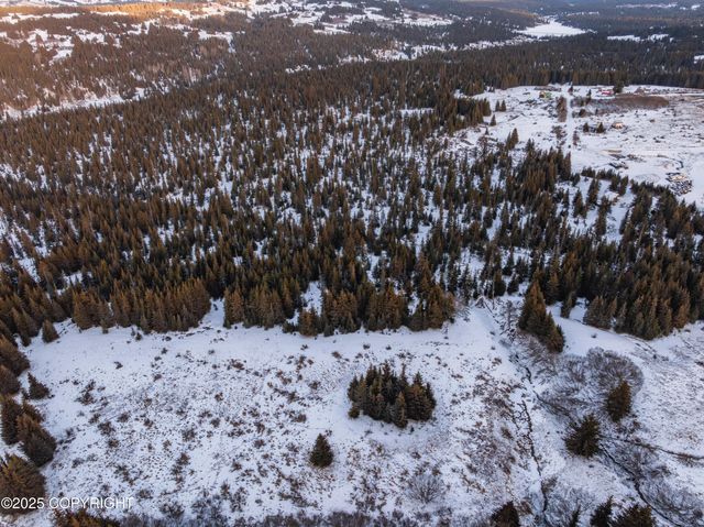 NKA W Shelton Avenue, Homer, AK 99603