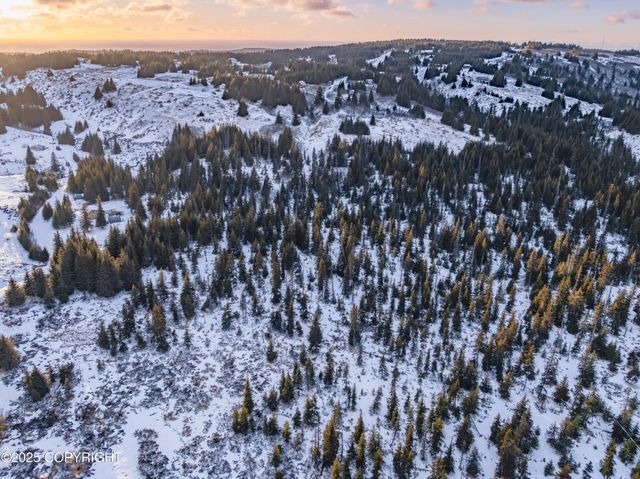 NKA W Shelton Avenue, Homer, AK 99603