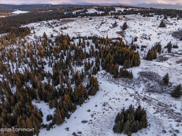 NKA W Shelton Avenue, Homer, AK 99603