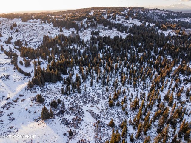 NKA W Shelton Avenue, Homer, AK 99603