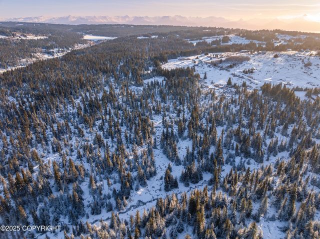 NKA W Shelton Avenue, Homer, AK 99603