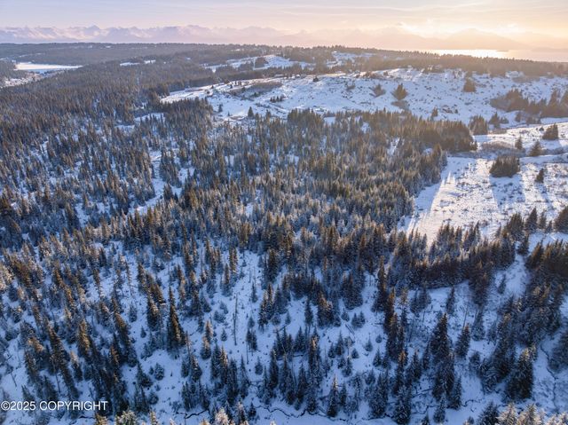 NKA W Shelton Avenue, Homer, AK 99603