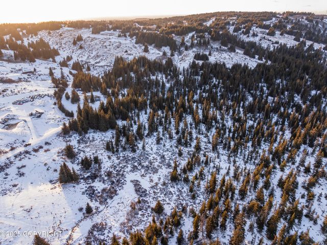 NKA W Shelton Avenue, Homer, AK 99603