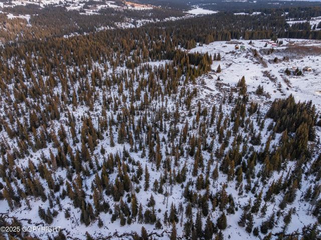 NKA W Shelton Avenue, Homer, AK 99603