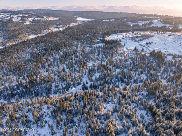 NKA W Shelton Avenue, Homer, AK 99603