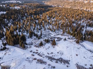 NKA W Shelton Avenue, Homer, AK 99603